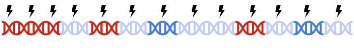 Genome Wide Clumping