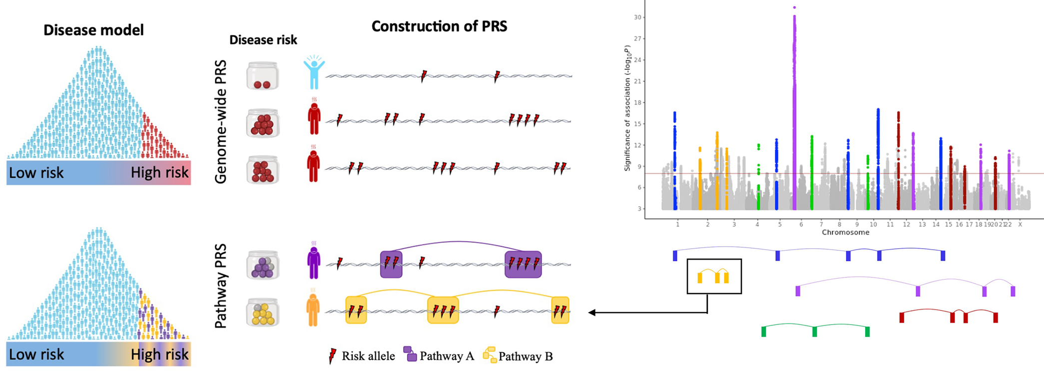 pathway PRS